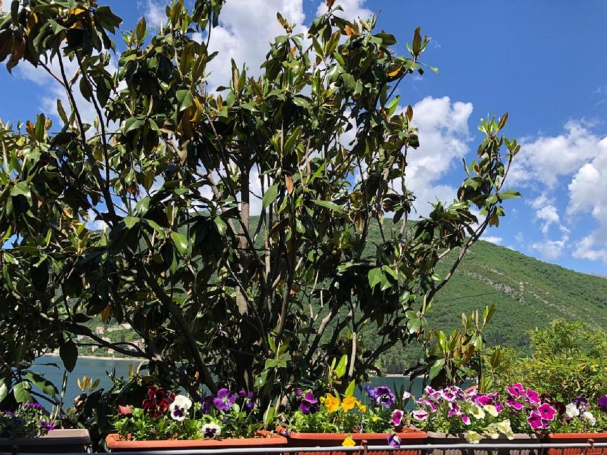 Apartments Todorovic Tivat Exterior foto